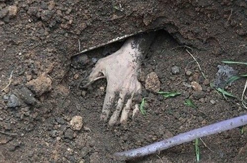 Məktəbli bacısına təcavüz edib evin zirzəmisində basdırdı - Rusiyada