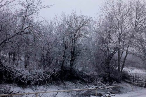 Azərbaycana qar yağdı - FOTO
