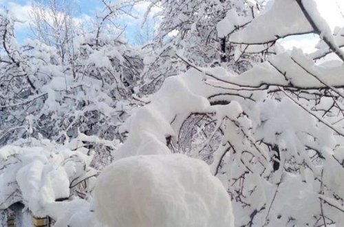 Bu gün 15 dərəcə şaxta olacaq