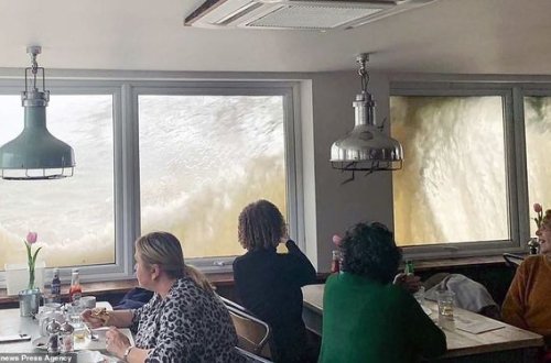 Daşqından qorunmaq üçün kafeyə sığındılar - VİDEO