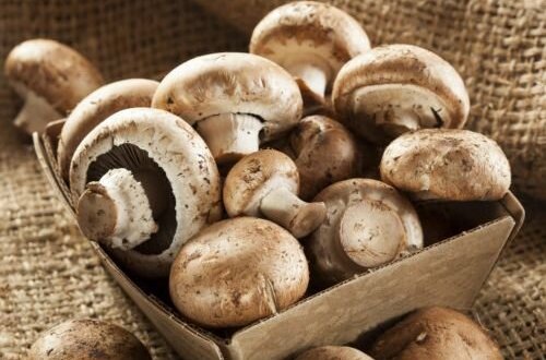 Azərbaycanda bir ailənin beş üzvü göbələkdən zəhərləndi