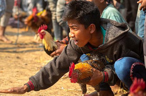 Xoruzun vurduğu kişi hadisə yerində öldü