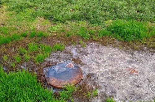 Bakının ən qədim parkı çirkab sularına “təslim olub” - VİDEO