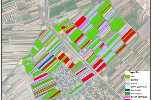 Bugünədək 10 rayonda payızlıq əkinə dair məlumatların “Azərkosmos”dan çəkilişlər əsasında yoxlamaları başa çatıb