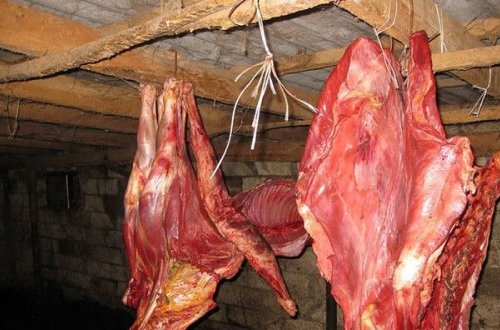 Bakıda iyrənc mənzərə: Heyvanlar kəsilib, qanı yola axıdılır - VİDEO