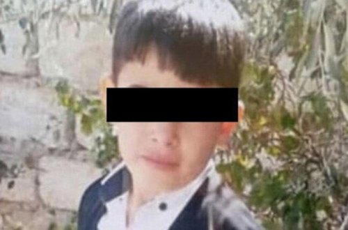 Bakıda it dişləyən 4-cü sinif şagirdi öldü - FOTO