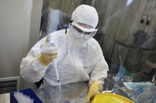 Koronavirusun yayıldığı bölgələrdə 7 azərbaycanlı tələbə var