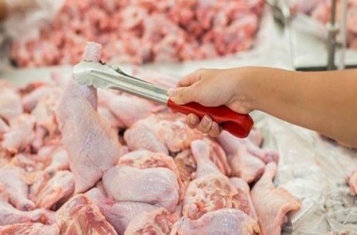 Bu ölkələrdən Azərbaycana quş məhsullarının idxalına müvəqqəti məhdudiyyət qoyuldu