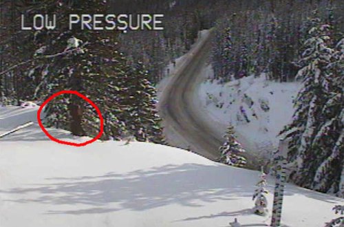 ABŞ-da qar adamı təsbit edildi – FOTO/VİDEO