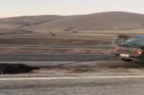 Heyvanı avtomobilinə bağlayıb sürüdü - VİDEO