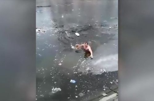 İti xilas etmək üçün həyatını təhlükəyə atdı - VİDEO