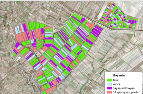 Azərbaycanın rayonlarında payızlıq əkin məlumatlarının peyk vasitəsilə yoxlanması davam edir