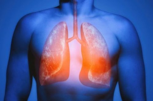 Ученые: Легкие курильщика восстанавливаются, если бросить курить