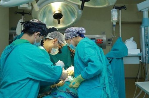 Vüqar Qurbanov: “Son bir ayda 700-ə yaxın bahalı əməliyyatlarla bağlı müraciətlər daxil olub”