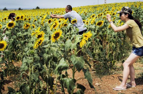 Человеческая глупость получила простое научное объяснение