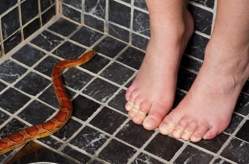 Dəhşətli hadisə: İlan yatmış uşağın bədəninə girdi +VİDEO