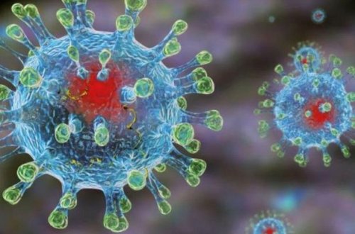 Çindən Fransaya gələn 20 sərnişində koronavirus simptomları aşkar edildi
