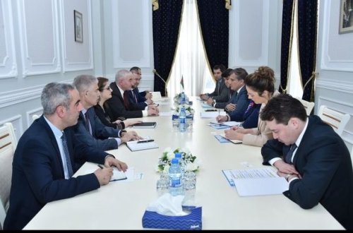 Делегацию Тюркского совета проинформировали о предстоящих выборах в Милли Меджлис