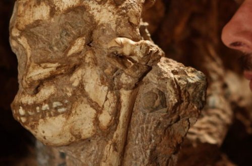 Залитые бетоном человеческие останки найдены в доме отшельника