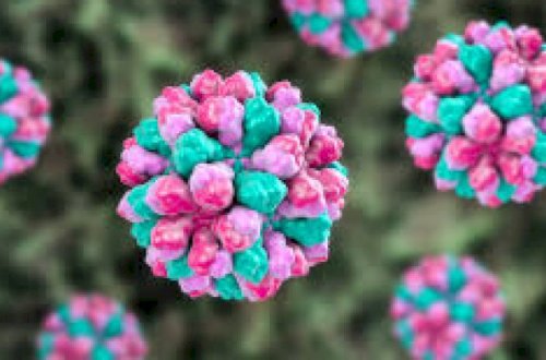 Norovirus 200 nəfəri xəstəxanalıq etdi - Daha bir virus dəhşəti