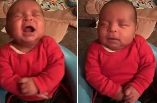 Отец изобрел 