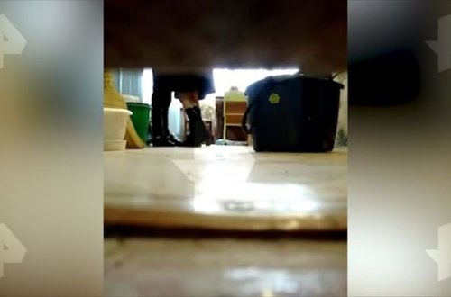 Qalmaqal: Müəllimin şagirdi ilə sevgi münasibəti lentə alındı - VİDEO