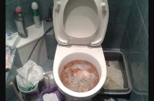 Meksikalı həyat yoldaşını parçalara ayırıb unitaza atdı