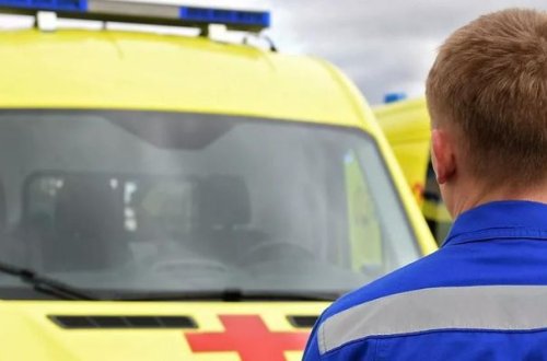 В ДТП с микроавтобусом и фурой в России погибли восемь человек - ВИДЕО