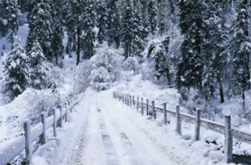 8 dərəcə şaxta, güclü külək, yağış - SABAHIN HAVASI