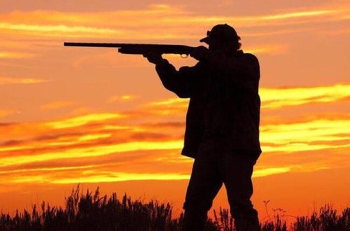 İcazəsiz ov edən şəxslər saxlanıldılar