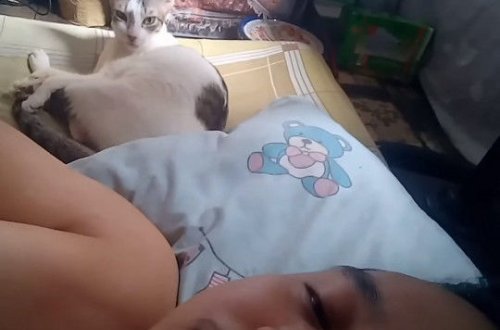 Хозяин довел кошку до нервного срыва своим пением – ВИДЕО