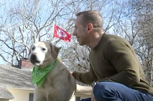 Bu adam arzularının xanımı ilə görüş təşkil edənə 25 MİN DOLLAR verəcək - FOTO-VİDEO