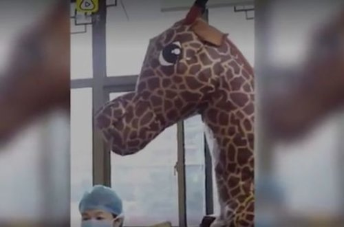 Китаянка решила спасаться от коронавируса в костюме жирафа – ВИДЕО