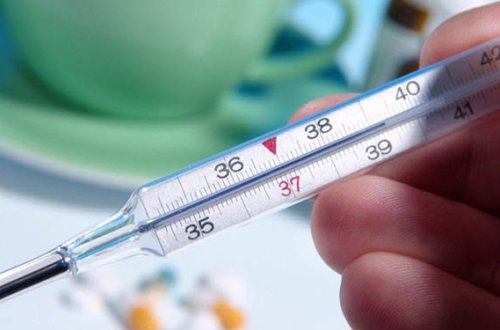 Azərbaycanda kənddə kütləvi qızdırma yayılıb - Rəsmi açıqlama