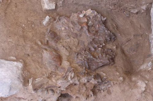 Qədim insanlar arasında dəfn ayinlərinin sirri açılıb