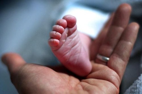 Sumqayıtda zibil qabından yeni doğulmuş körpənin meyiti tapıldı - VİDEO