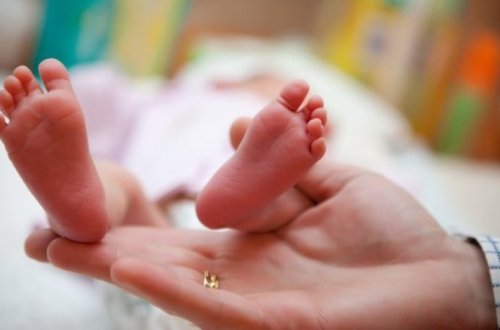 В Сумгайыте тело младенца нашли в мусорном баке