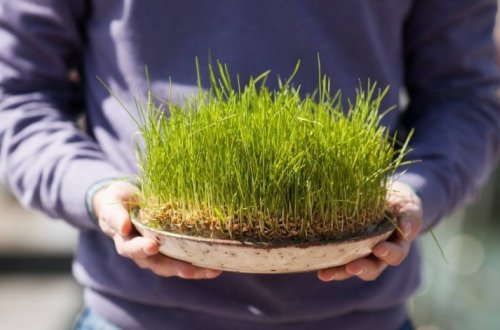 Сегодня в Азербайджане отмечается «Су чершенбеси»