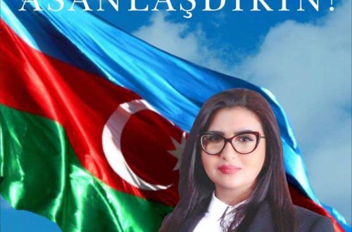 Reklam Agentliyinin seçki anarxİYAsı