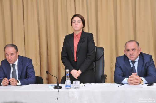 İcra hakimiyyəti başçısı İradə Gülməmmədovanın ailəsinə məxsus biznes