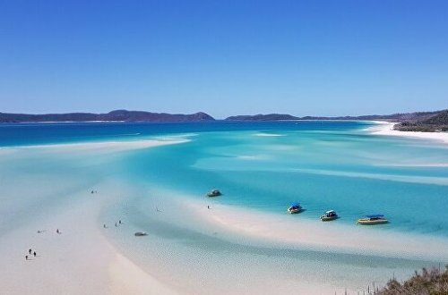 На австралийском пляже нашли странное существо - ФОТО