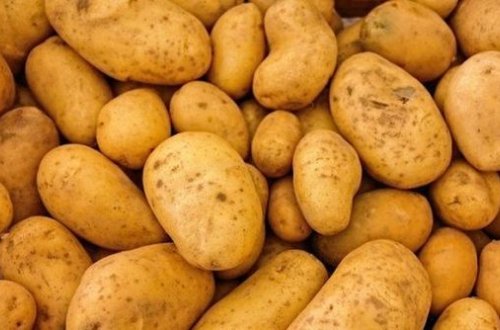 Bu kartoflardan yeməkdə istifadə etmək olmaz – Alimlərdən məsləhət