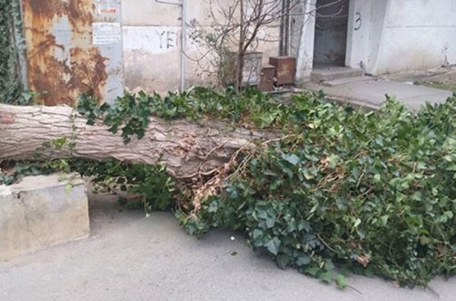 İcra Hakimiyyəti əhaliyə xəbərdarlıq etdi - FOTO