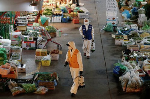 Число погибших от коронавируса в Южной Корее достигло 26