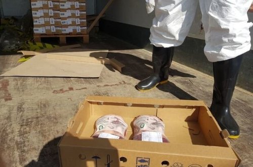 İstifadəyə yararsız 317 kq dondurulmuş ördək əti məhv edildi