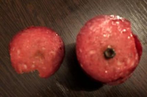 “SAB” kolbasasından çıxan bolt müştərini dəhşətə gətirdi – FOTOFAKT