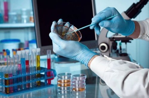 Koronavirus daha üç ölkədə