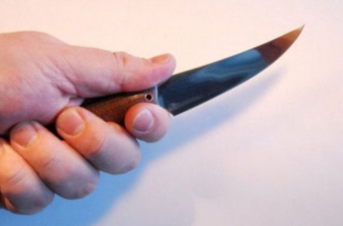 Ukraynada yeniyetmə xalasını və onun dördyaşlı uşağını bıçaqladı