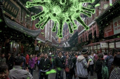 Минобразования: Учащихся по госпрограмме в Южной Корее, Италии, Иране и Японии на сегодняшний день нет