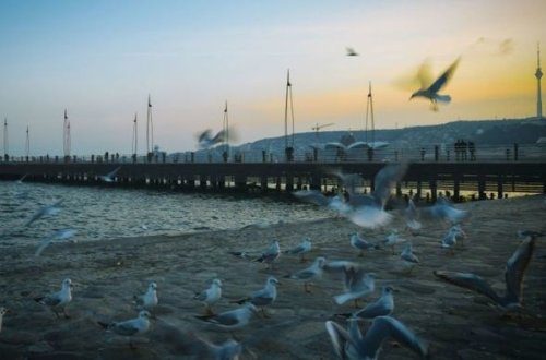 Завтра в Азербайджане сохранится туманная погода